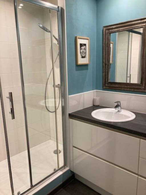 Agreable Et Spacieuse Maison Centre Ville Saint-Omer ภายนอก รูปภาพ