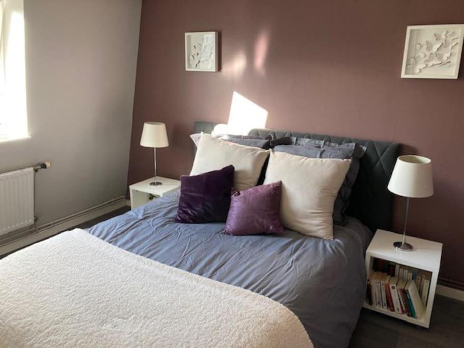 Agreable Et Spacieuse Maison Centre Ville Saint-Omer ภายนอก รูปภาพ