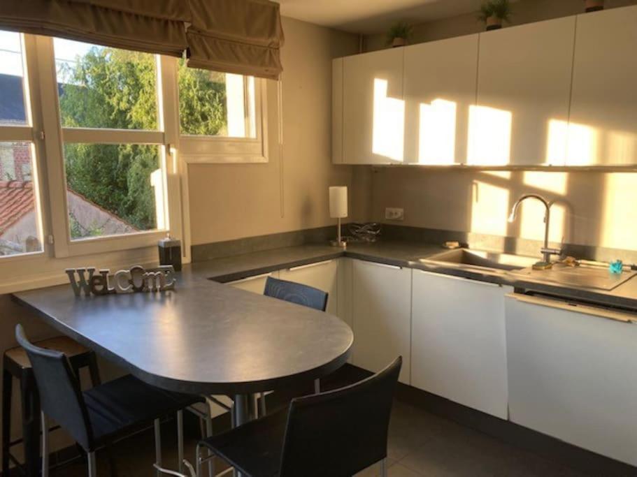 Agreable Et Spacieuse Maison Centre Ville Saint-Omer ภายนอก รูปภาพ
